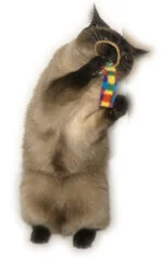 Set di giochi per gatti, 2 pezzi – Cat Dancer Ring Tail Chasers - immagine 2
