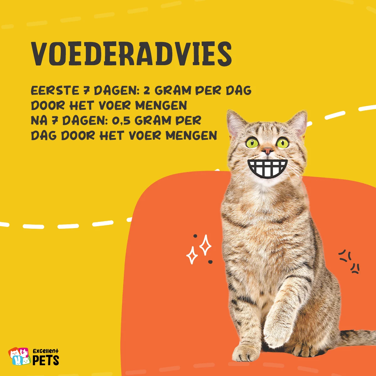 L-Lisina in polvere per gatti con vitamina B6, 100 g – Excellent Pets L-Lysine - immagine 2