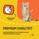Spray all’erba gatta per giochi e trasportini, 150 ml – Excellent Pets Catnip Spray - immagine 5