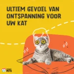 Spray all’erba gatta per giochi e trasportini, 150 ml – Excellent Pets Catnip Spray - immagine 4
