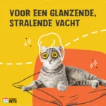 Integratore per gatti in crocchette con prebiotici, 60 g – Excellent Pets Cat Parex - immagine 3