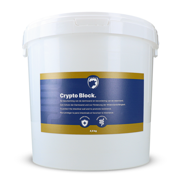 Mangime complementare per vitelli e agnelli, 4,8 kg – Excellent Crypto Block