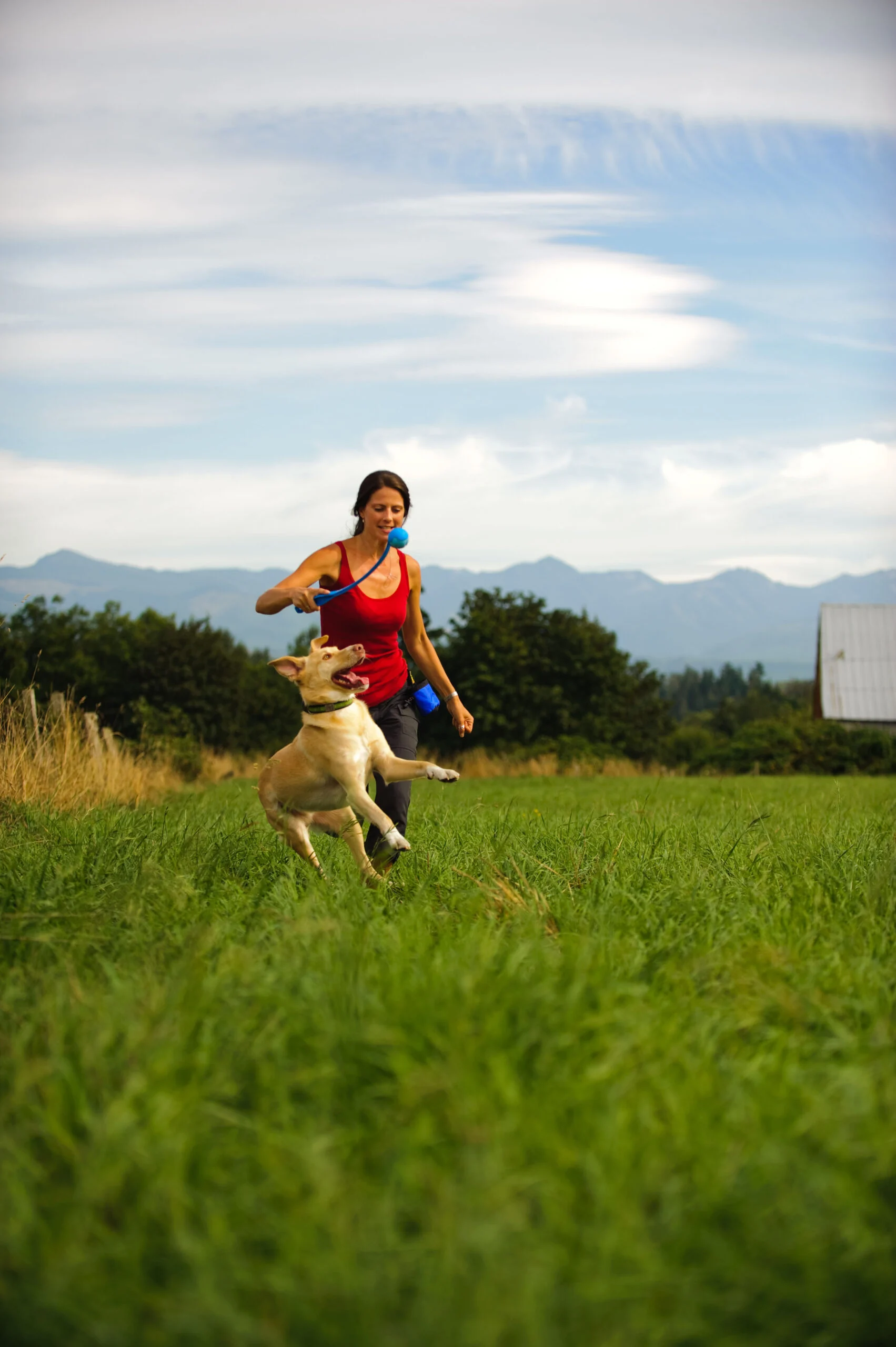 Palla per cani con fischietto S, ø 5 cm, 2 pezzi – Chuckit! The Whistler - immagine 3