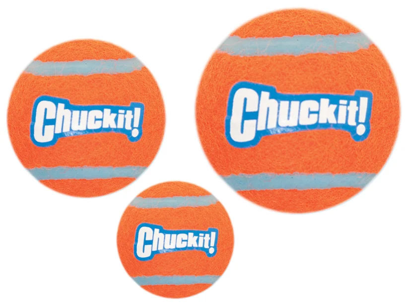 Palla da tennis per cani S, ø 5 cm, 2 pezzi, galleggiante – Chuckit! Tennis Ball - immagine 4