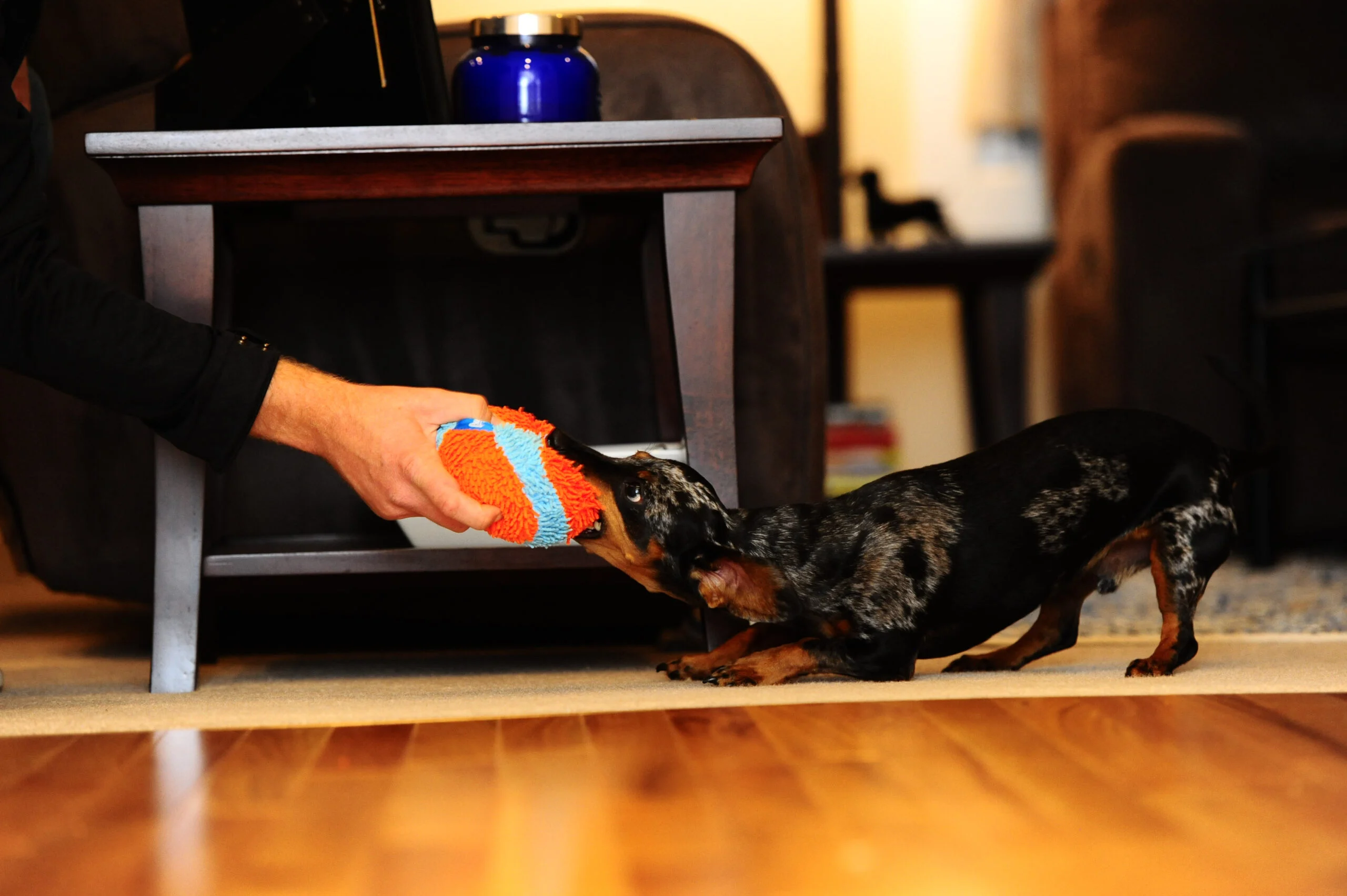 Palla per cani con rivestimento esterno in ciniglia per interni, Ø 12 cm – Chuckit! Indoor Ball - immagine 5
