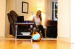 Gioco da interno per cani con anello, 11,5 x 13 x 20 cm – Chuckit! Indoor Shaker - immagine 5