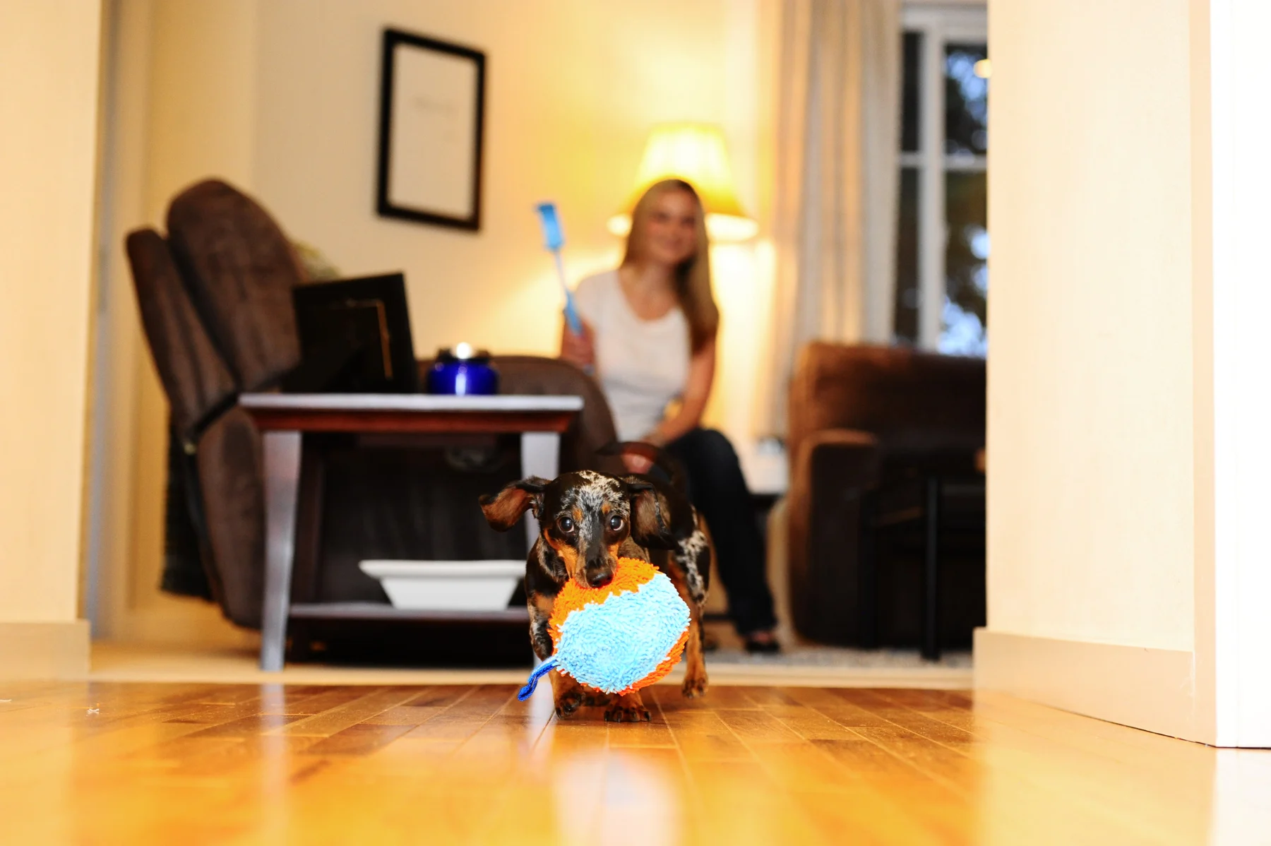 Gioco da interno per cani con anello, 11,5 x 13 x 20 cm – Chuckit! Indoor Shaker - immagine 5