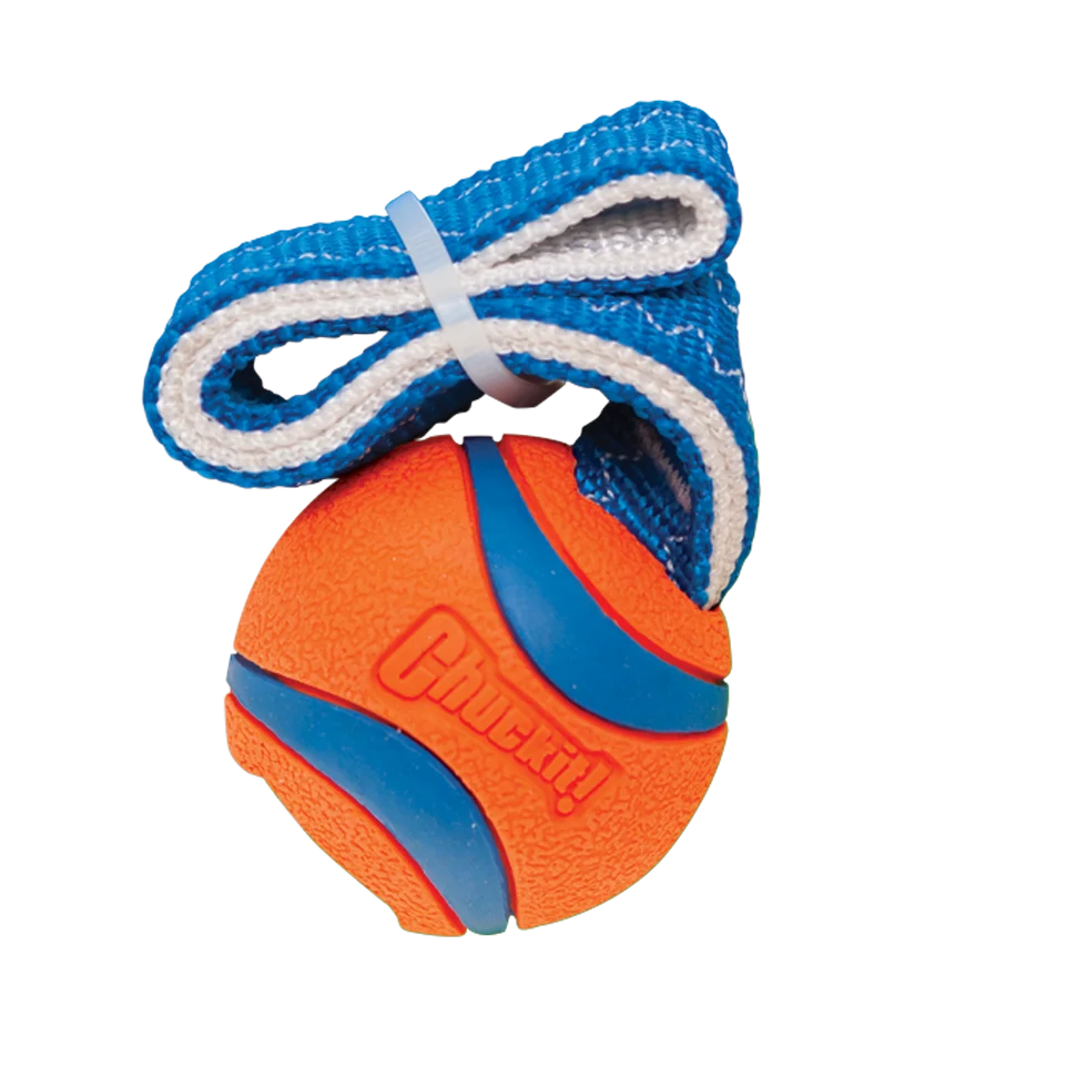 Gioco da tira e molla per cani con pallina da tennis e nastro, ø 5 cm – Chuckit! Ultra Tug S - immagine 2