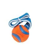 Gioco di tira e molla per cani con pallina da tennis e nastro, ø 6 cm – Chuckit! Ultra Tug M - immagine 2