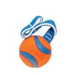 Gioco da tira e molla per cani con pallina da tennis e nastro, ø 7 cm – Chuckit! Ultra Tug L - immagine 3