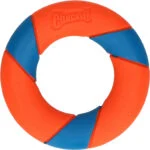Anello da riporto dal rimbalzo imprevedibile, 12,5 cm – Chuckit! UltraRing - immagine 2