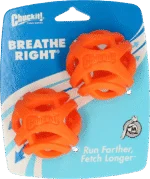Palline da riporto per cani, galleggianti, Ø 6 cm, 2 pezzi – Chuckit! Air Fetch Ball