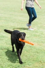 Bastone da riporto in gomma morbida, galleggiante, 31 cm – Chuckit! Air Fetch Stick - immagine 5