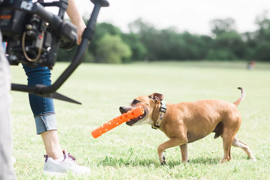 Bastone da riporto in gomma morbida, galleggiante, 31 cm – Chuckit! Air Fetch Stick - immagine 6