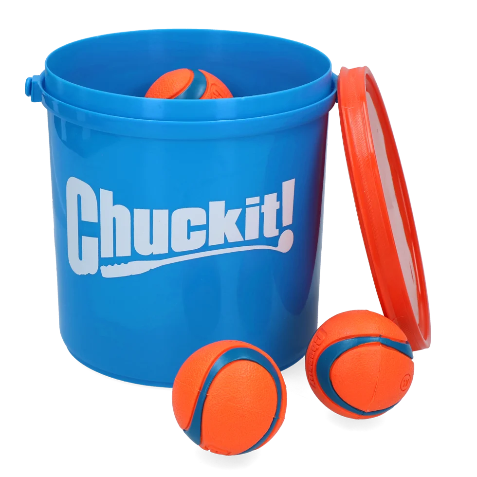 Set di palline per cani con secchio e fori di drenaggio, 8 palline M – Chuckit! Bucket - immagine 2