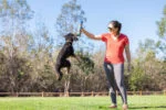 Palle per cani al bacon e al burro di arachidi, 4 pezzi – Chuckit! Sniff Fetch Ball Bacon & Peanut Butter M - immagine 4