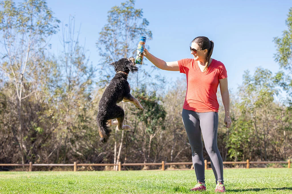 Palle per cani al bacon e al burro di arachidi, 4 pezzi – Chuckit! Sniff Fetch Ball Bacon & Peanut Butter M - immagine 4