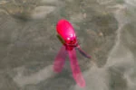 Gioco per cani con squittio e tentacoli fruscianti, M 28 cm, verde – Dog Comets Alien Octo - immagine 4