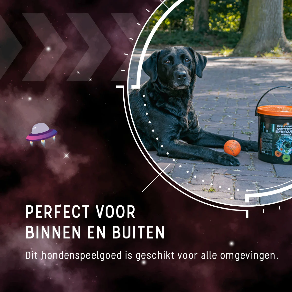 Palline in gomma per cani con secchiello, 6 pezzi M – Dog Comets Meteor Shower - immagine 2