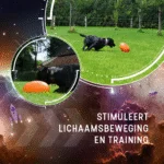 Gioco da riporto per cani galleggiante, 20 cm, arancione – Dog Comets Pan-Stars - immagine 6