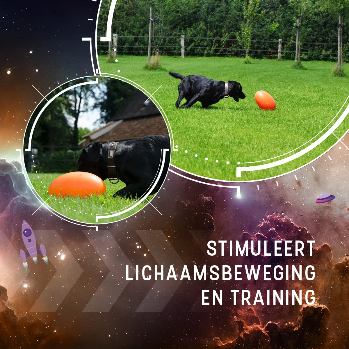 Gioco da riporto galleggiante per cani, 30 cm, arancione – Dog Comets Pan-Stars - immagine 5
