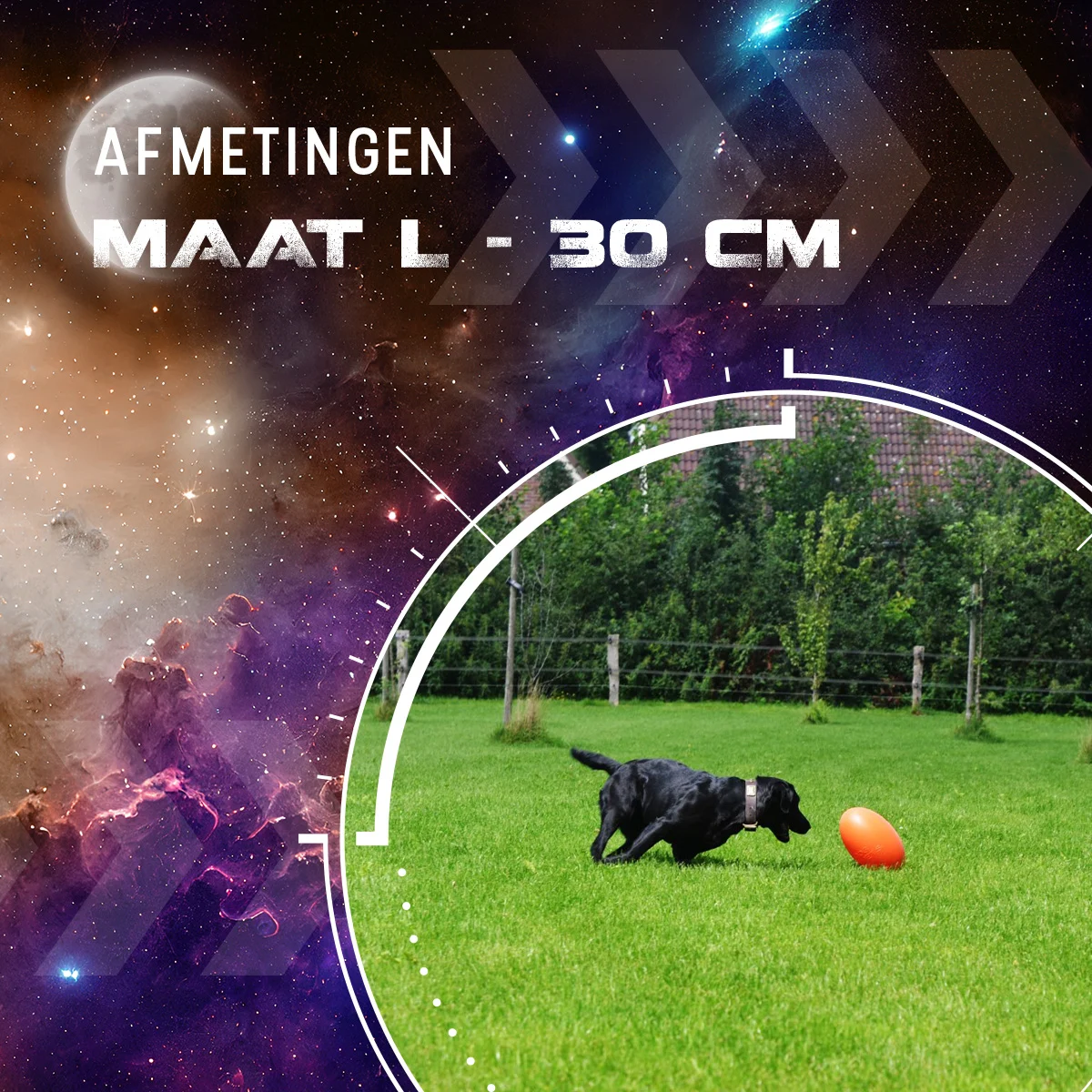 Gioco da riporto galleggiante per cani, 30 cm, arancione – Dog Comets Pan-Stars - immagine 3