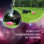 Giocattolo da riporto per cani, galleggiante, 20 cm, rosa – Dog Comets Pan-Stars - immagine 5