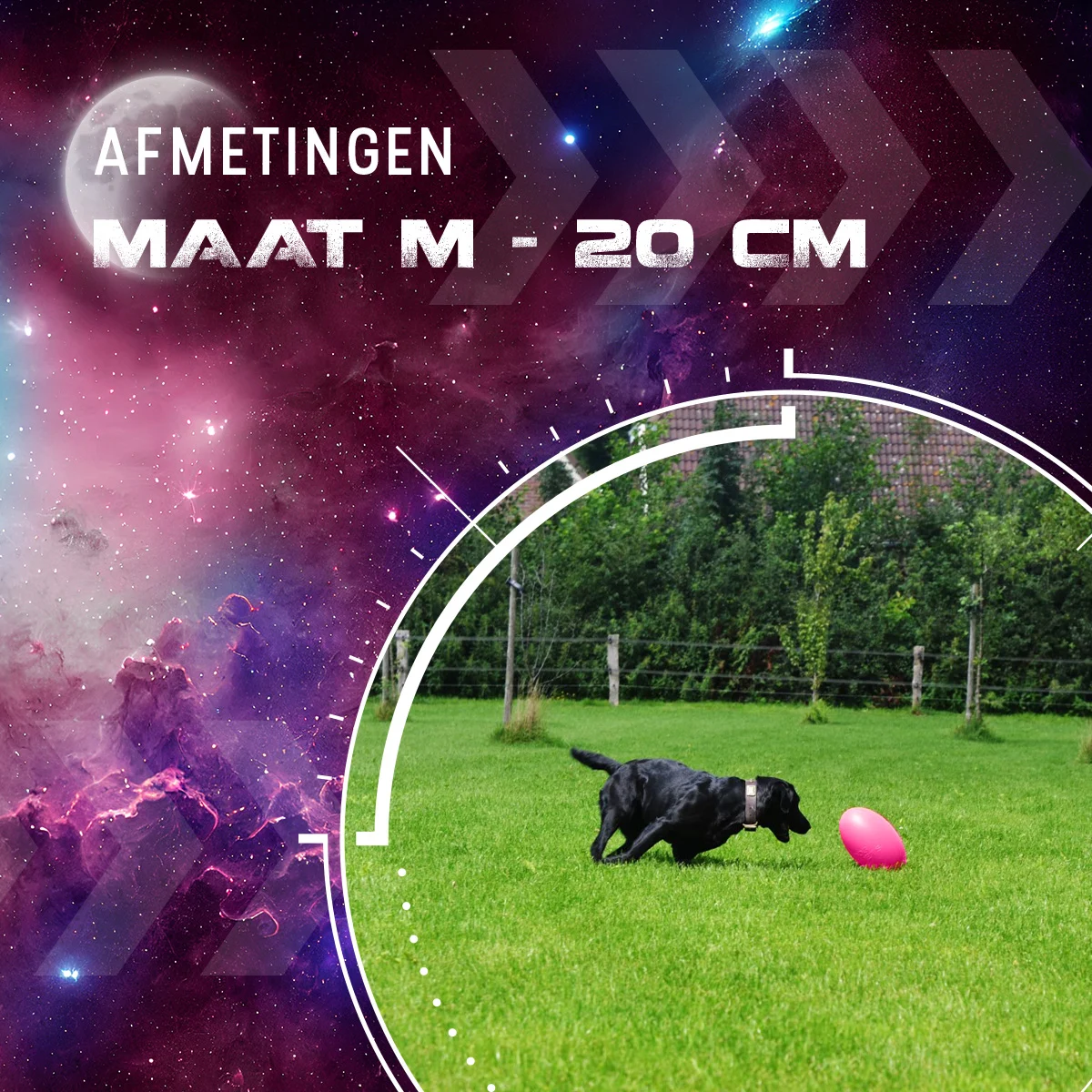 Giocattolo da riporto per cani, galleggiante, 20 cm, rosa – Dog Comets Pan-Stars - immagine 3