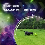 Giocattolo da riporto per cani, galleggiante, 20 cm, verde – Dog Comets Pan-Stars - immagine 3