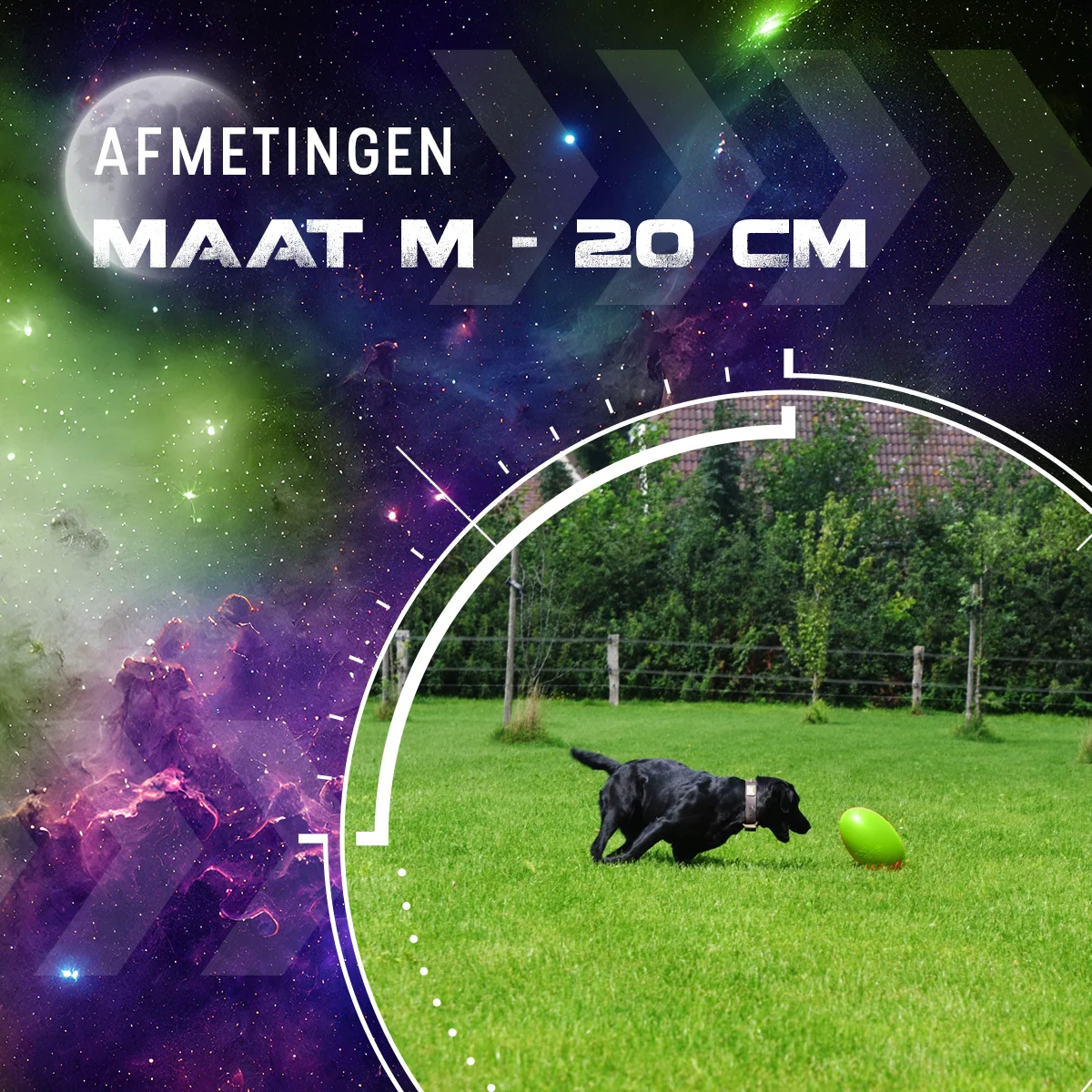 Giocattolo da riporto per cani, galleggiante, 20 cm, verde – Dog Comets Pan-Stars - immagine 3