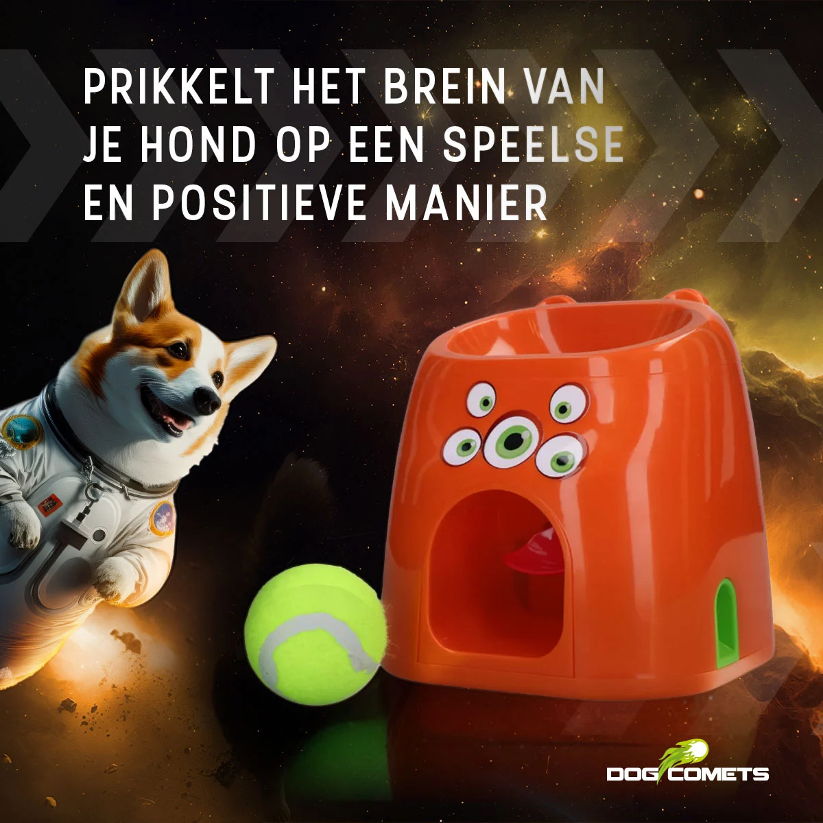 Gioco da riporto con premio snack, include 1 pallina da tennis – Dog Comets D1spencer Fetch and Treat - immagine 6