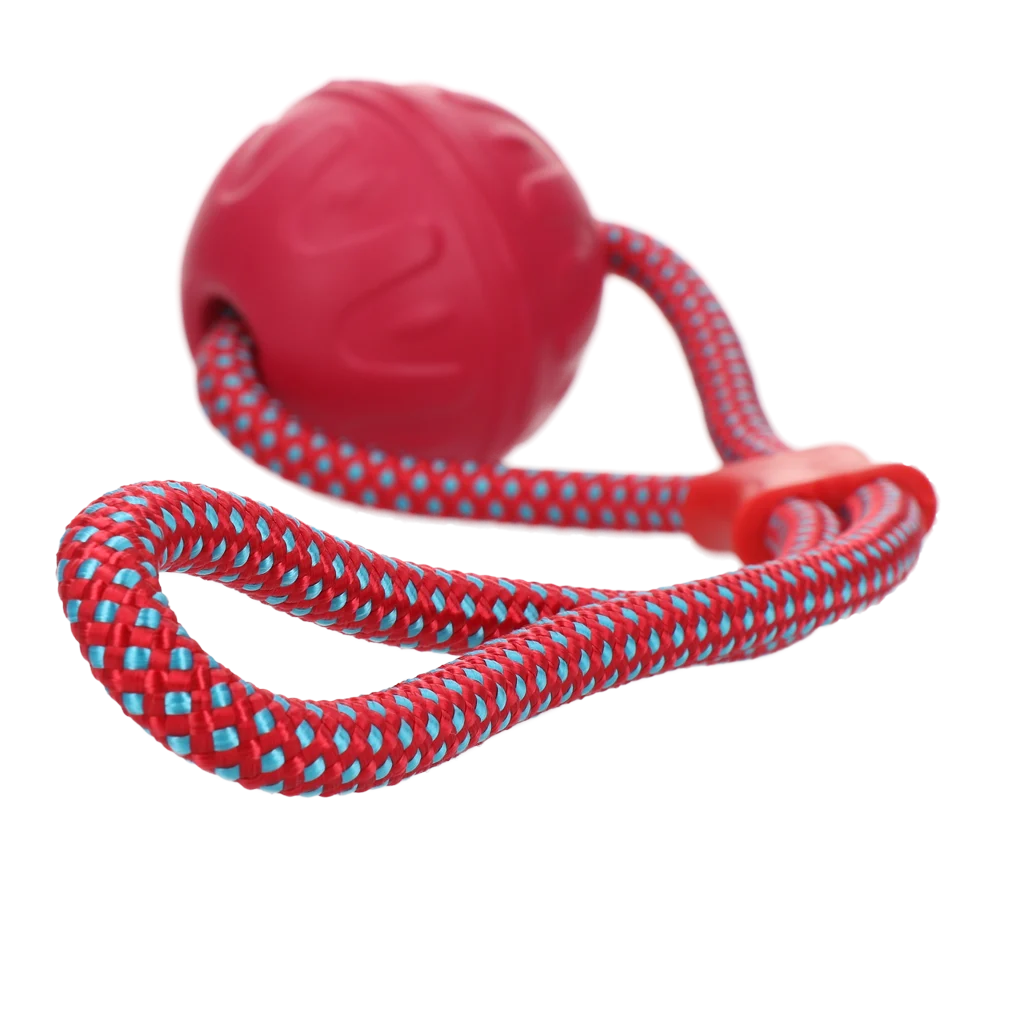 Palla per cani con corda riflettente, galleggiante, rosa – Dog Comets Vortex Loop - immagine 2