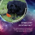 Palla per snack in gomma con squeaker, arancione – Dog Comets Moonstone - immagine 6