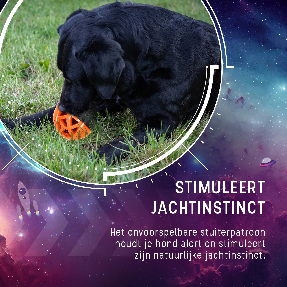 Palla per snack in gomma con squeaker, arancione – Dog Comets Moonstone - immagine 6