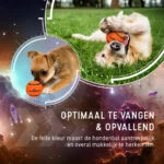 Palline da tennis galleggianti per cani, Ø 7,5 cm, arancioni, 2 pezzi – Dog Comets Starlight - immagine 4