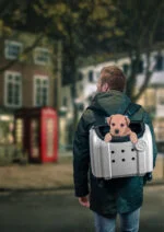 Trolley per cani convertibile in zaino, grigio, 40 x 25 x 31 cm – Compaws Trolley London - immagine 2