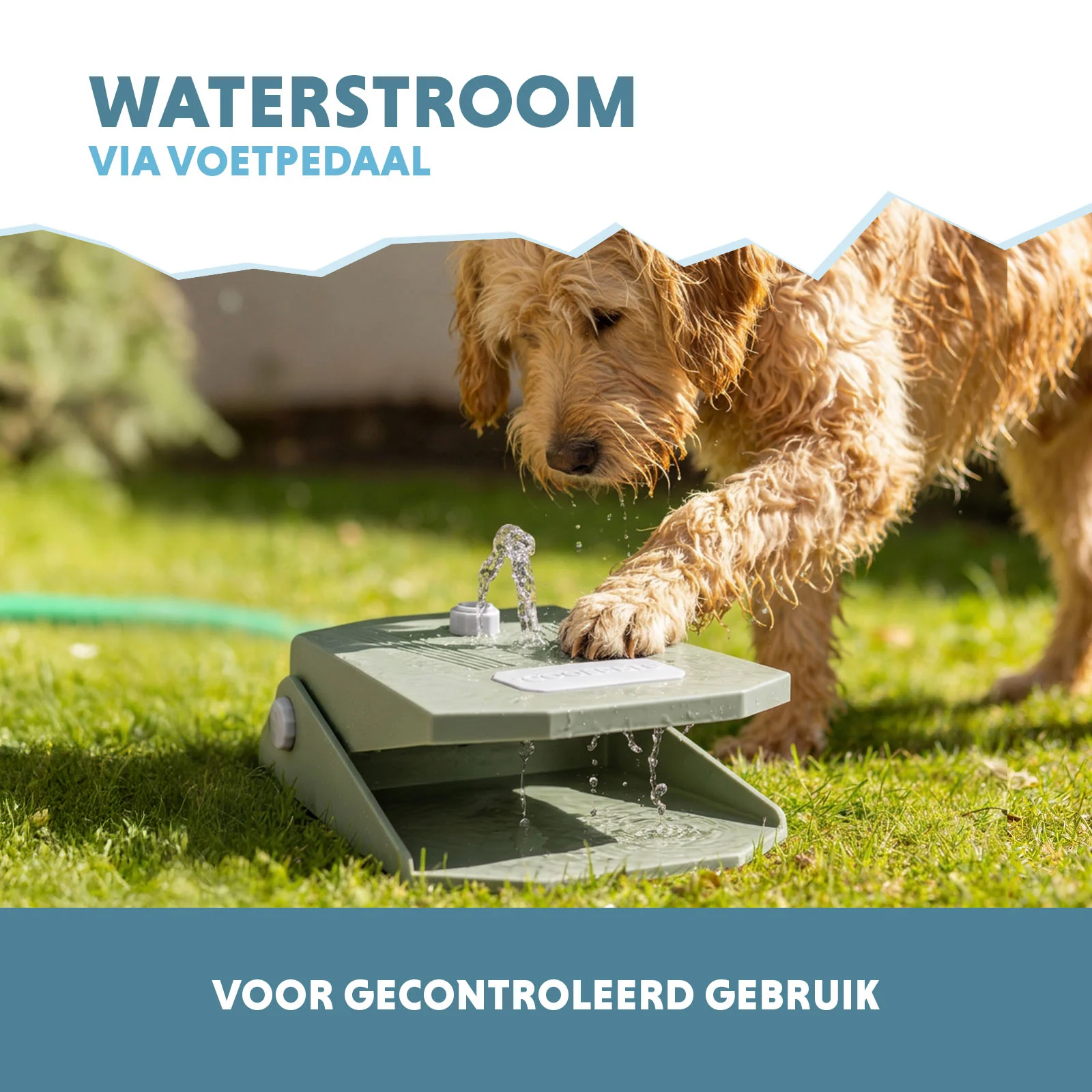 Fontanella con pedale e collegamento per tubo da giardino, verde oliva – Coolpets Splash Water Fountain - immagine 4