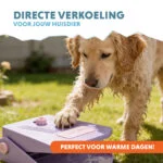 Fontanella con pedale e attacco per canna da giardino, lilla – Coolpets Splash Water Fountain - immagine 2