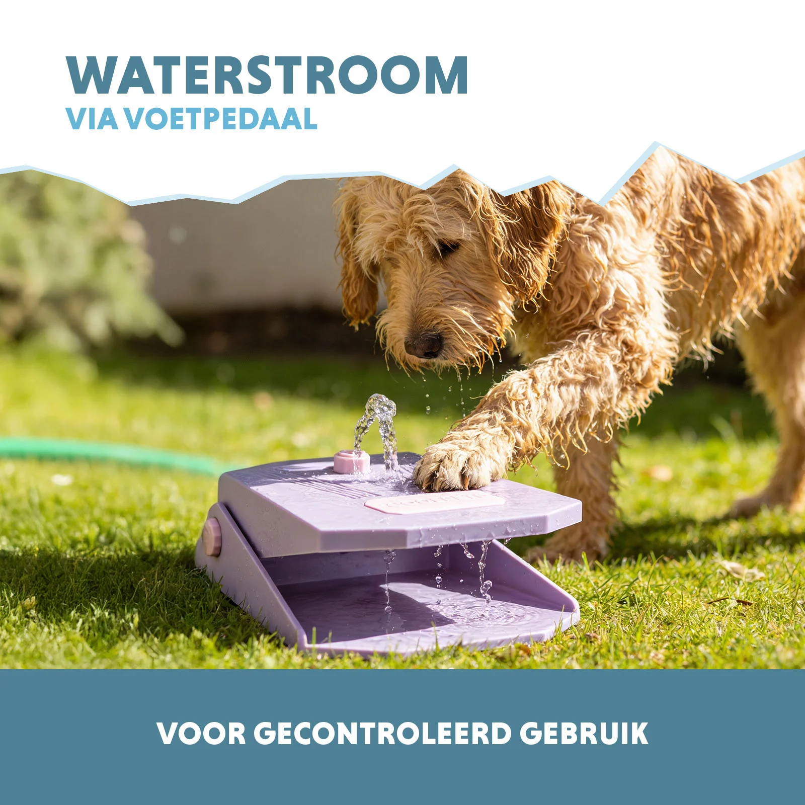 Fontanella con pedale e attacco per canna da giardino, lilla – Coolpets Splash Water Fountain - immagine 4