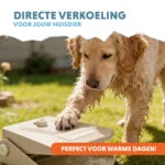 Fontana per cani con pedale e attacco per tubo da giardino, Beige – Coolpets Splash Water Fountain - immagine 2