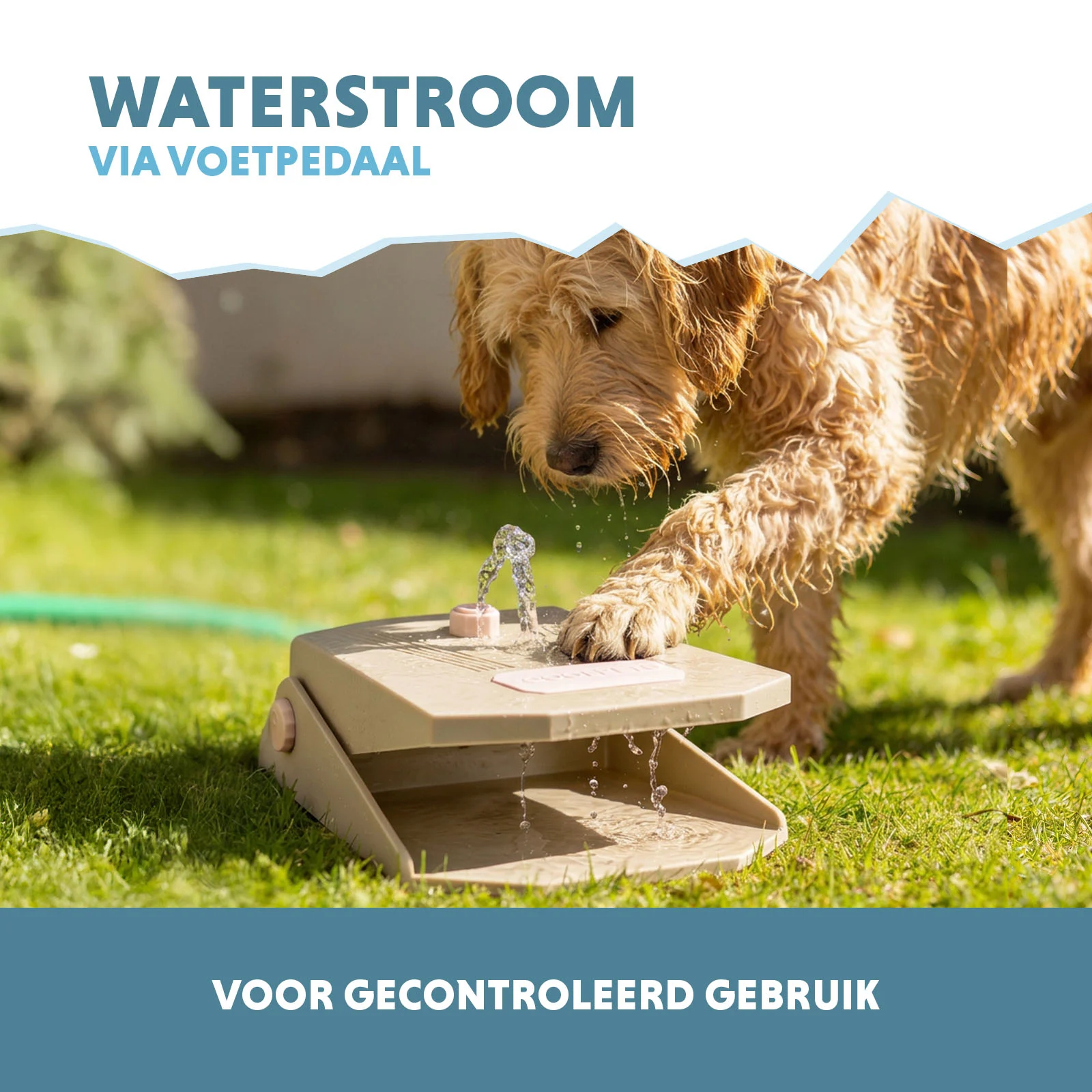 Fontana per cani con pedale e attacco per tubo da giardino, Beige – Coolpets Splash Water Fountain - immagine 4
