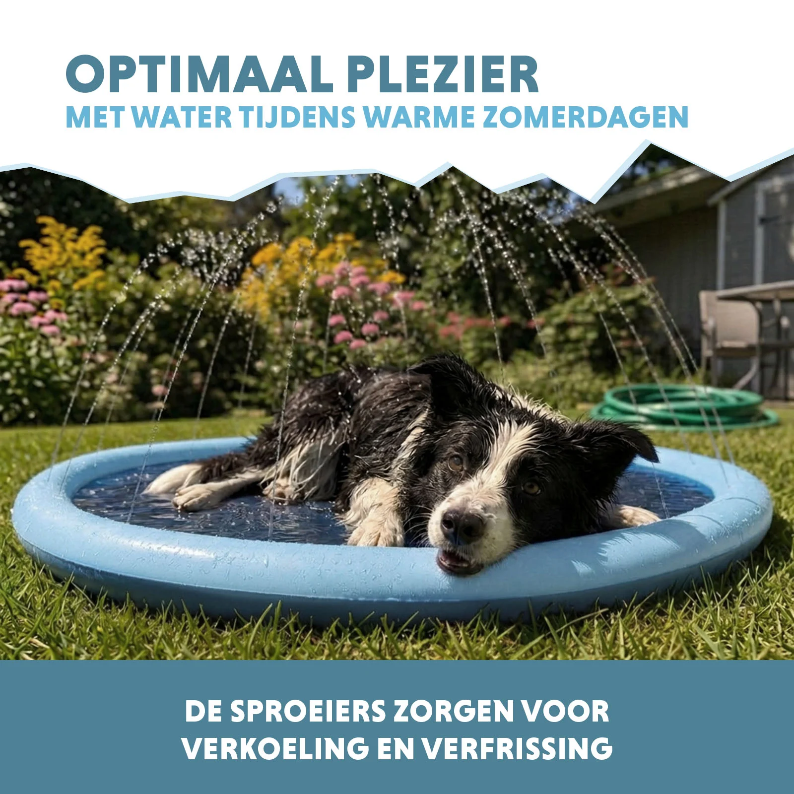 Tappetino spruzzatore per cani con attacco per tubo da giardino, M 150 cm – Coolpets Splash Sprinkler Pad - immagine 4