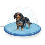 Tappetino aspersore per cani con attacco per tubo da giardino, S 100 cm – Coolpets Splash Sprinkler Pad