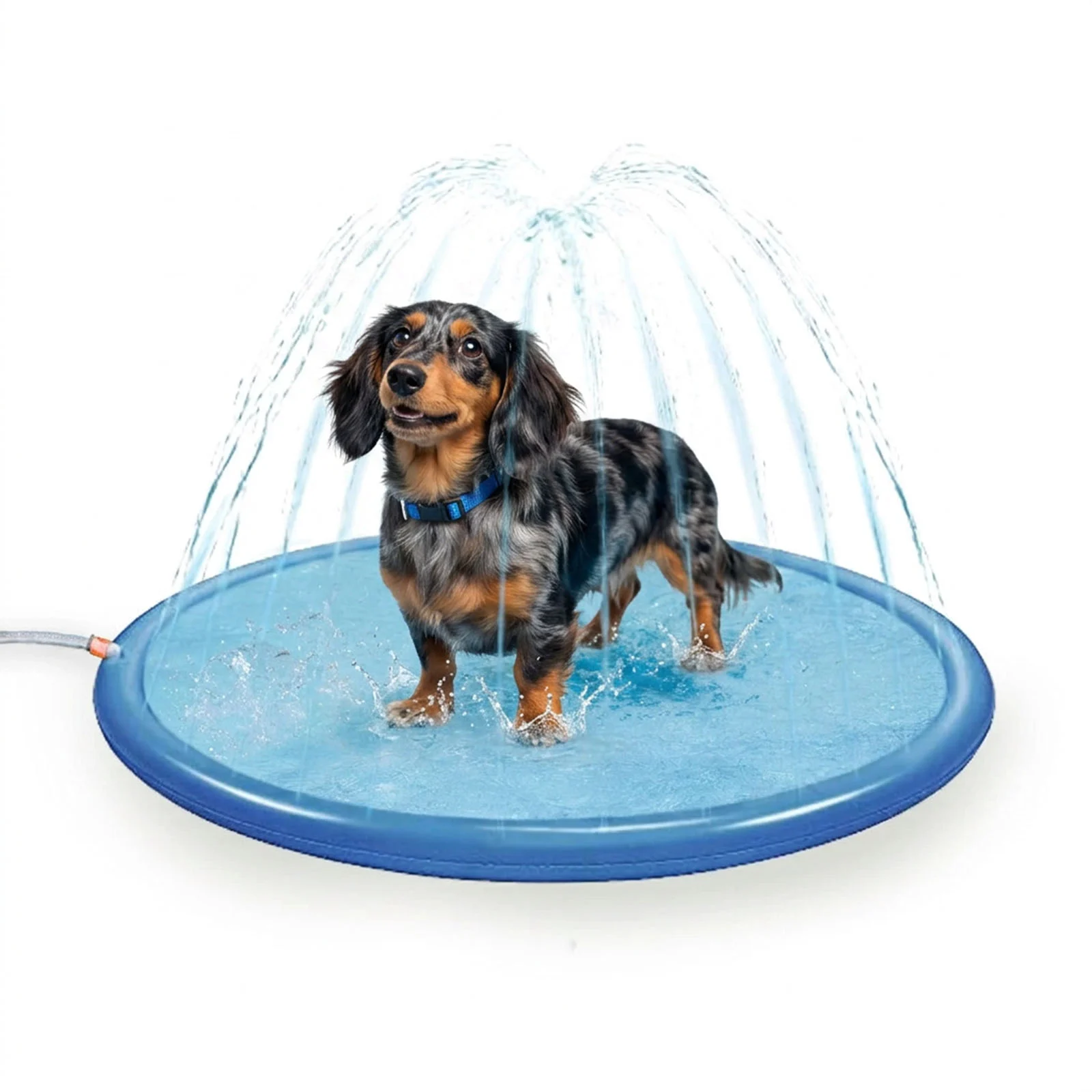 Tappetino aspersore per cani con attacco per tubo da giardino, S 100 cm – Coolpets Splash Sprinkler Pad - immagine 1