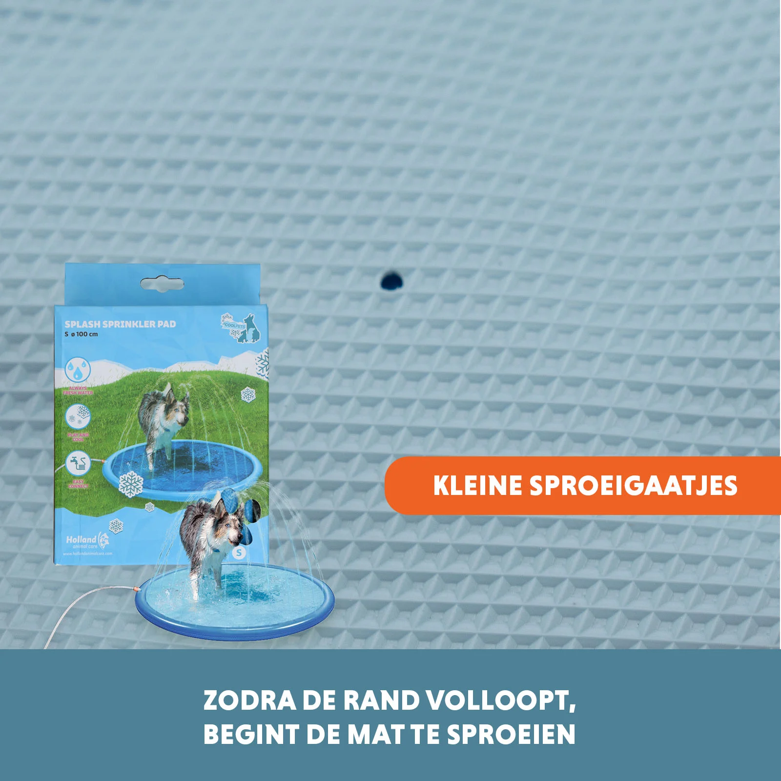 Tappetino aspersore per cani con attacco per tubo da giardino, S 100 cm – Coolpets Splash Sprinkler Pad - immagine 5
