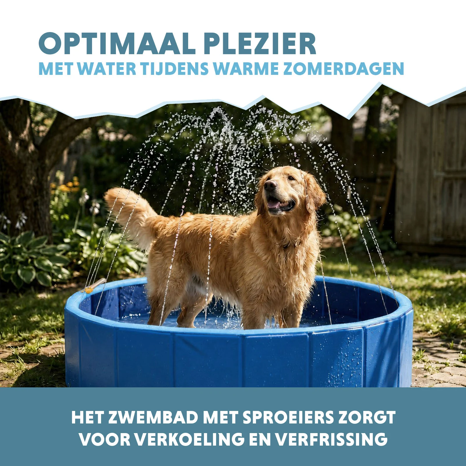 Piscina per cani con irrigatori, diametro 120 cm, altezza del bordo 30 cm – Coolpets Splash Sprinkler Pool - immagine 4