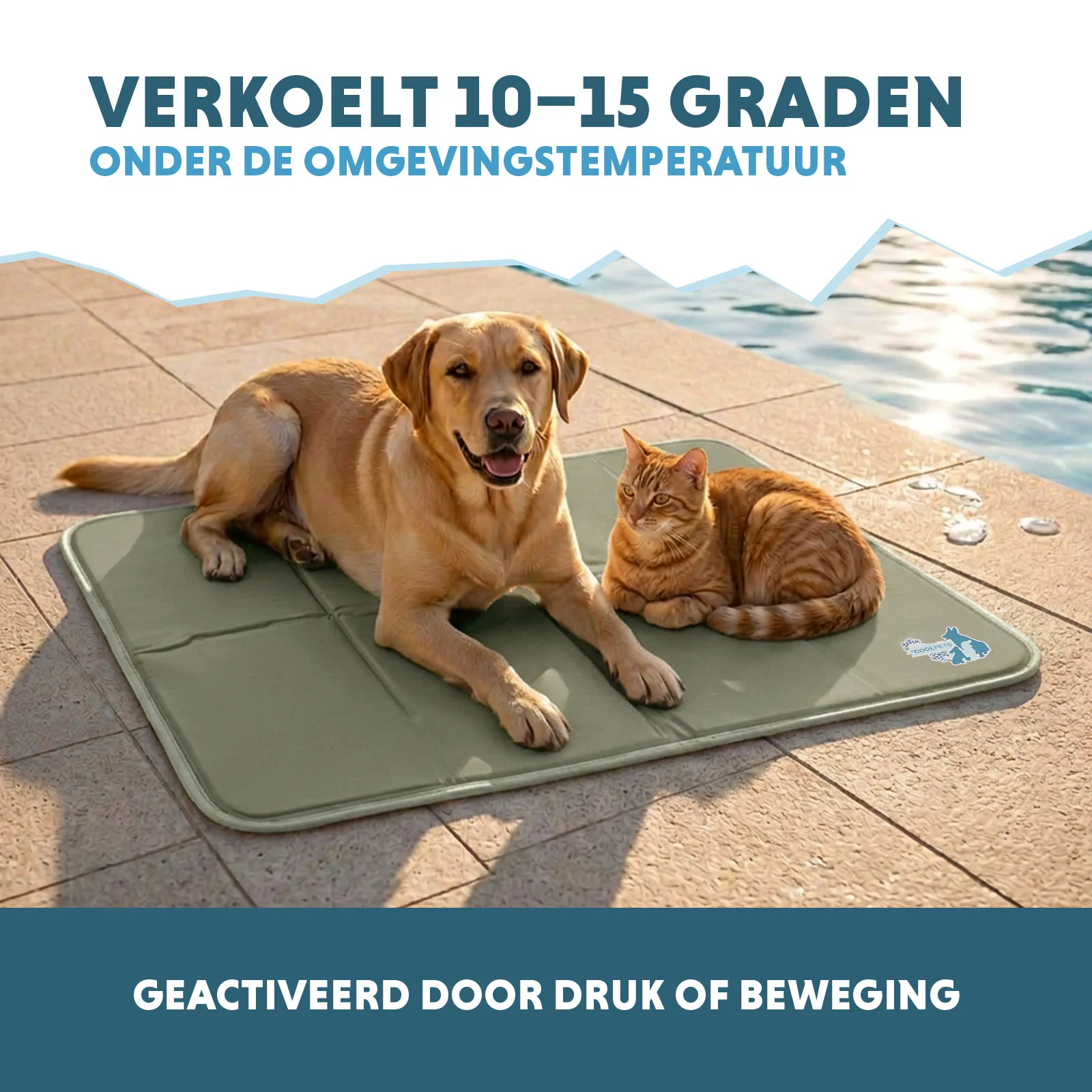Tappetino rinfrescante per cani con gel solido, verde oliva, L 90 x 60 cm – Coolpets Gel Cooling Mat - immagine 4