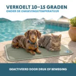 Tappetino refrigerante per cani con gel solido, verde oliva, M 76 x 50 cm – Coolpets Gel Cooling Mat - immagine 4