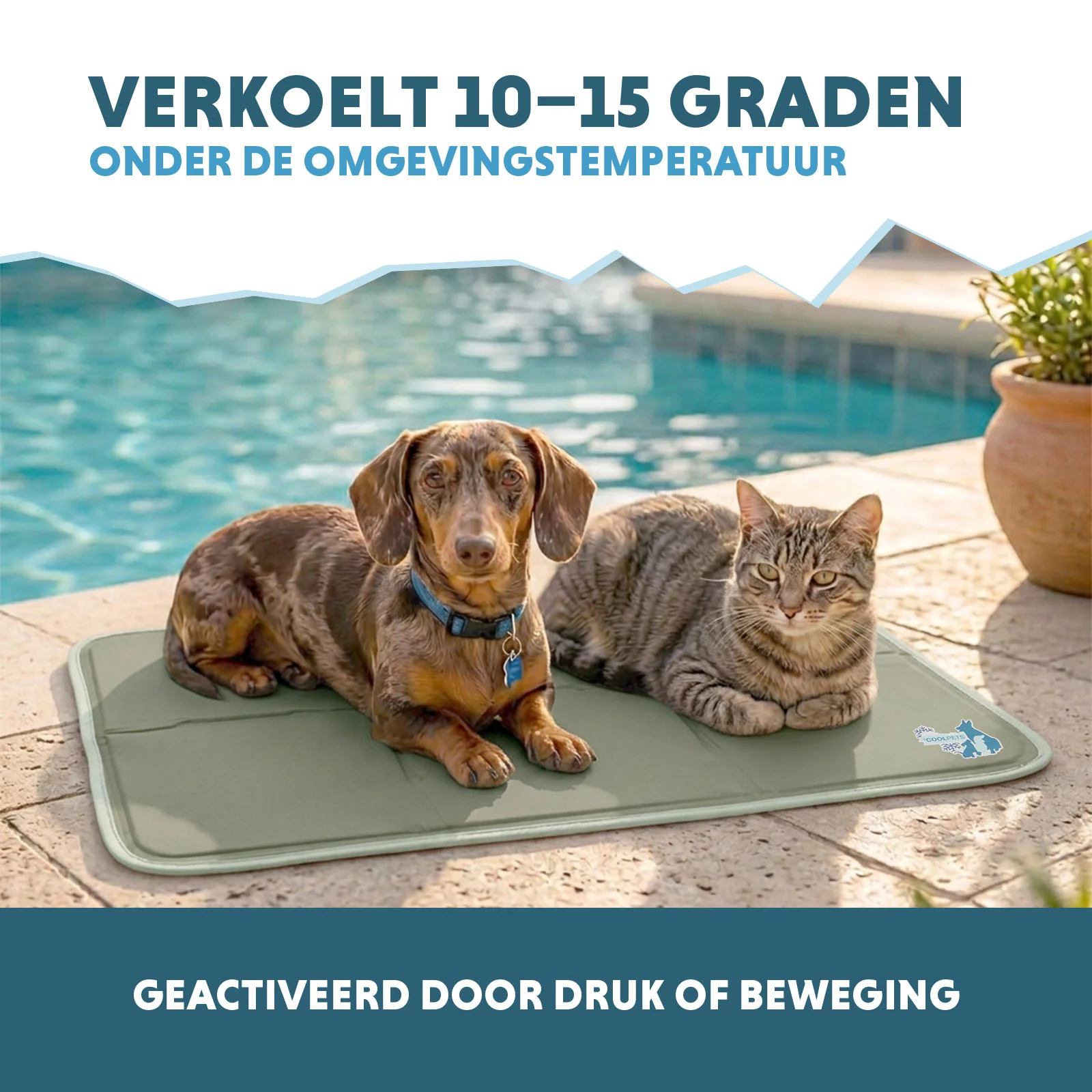 Tappetino refrigerante per cani con gel solido, verde oliva, M 76 x 50 cm – Coolpets Gel Cooling Mat - immagine 4