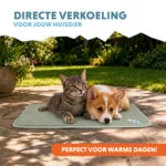 Tappetino rinfrescante per cani con gel solido, verde oliva, S 50 x 40 cm – Coolpets Gel Cooling Mat - immagine 2